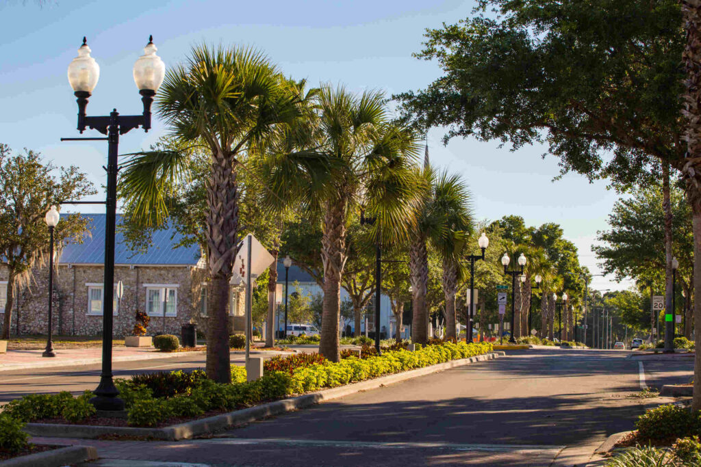 Palm tree-lined street in service area for Zephyrhills Car Accident Lawyers.