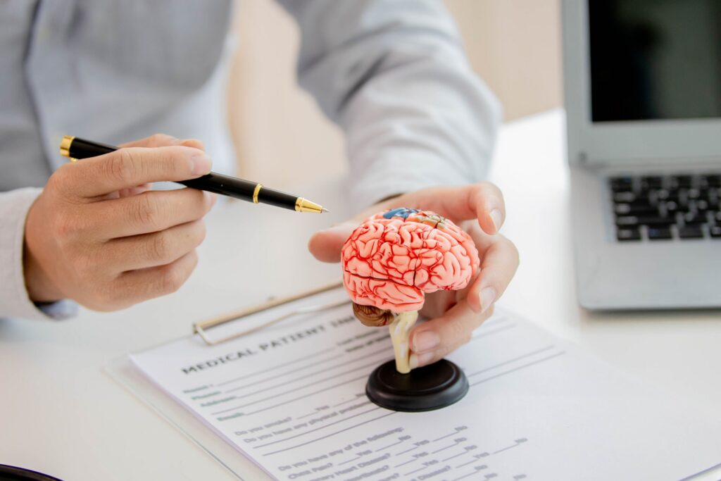 Medical examiner using a magnifying glass over a detailed brain model for a Zephyrhills brain injury review.