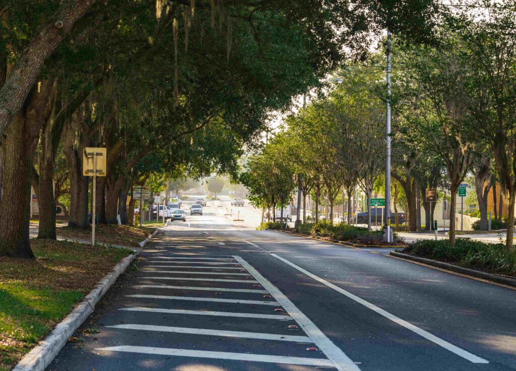 A tree lined street in Florida served by Dade City wrongful death lawyers representing traffic accident victims.